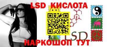 винт Донецк