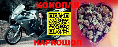 стаф Донской
