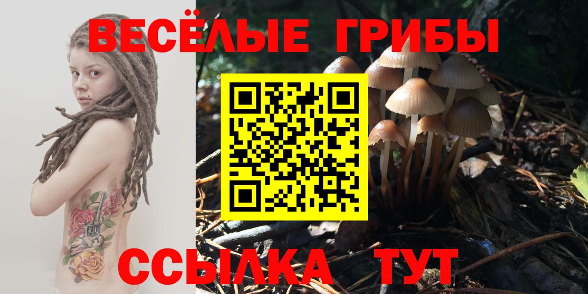 купить наркотик  Псилоцибиновые грибы Psilocybine cubensis  Мурино  Вход с VPN  Псилоцибиновые грибы Magic Shrooms 